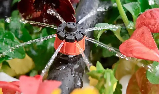 تركيب شبكات الري